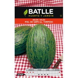 MELON PIEL DE SAPO TORPEDO