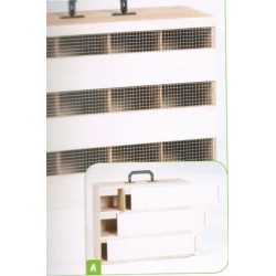 TRANSPORTIN MADERA 8...