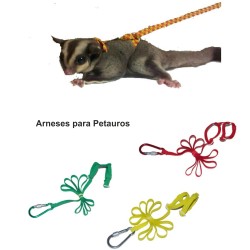 ARNES PARA PETAUROS...