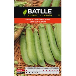 GUISANTE LINCOLN 250 GR.