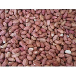 CACAHUETES PELADOS 500GR....