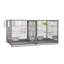 MODULO DE CRIA SUN PARROTS...