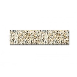 ARENA SILICE TERRARIO F-55...